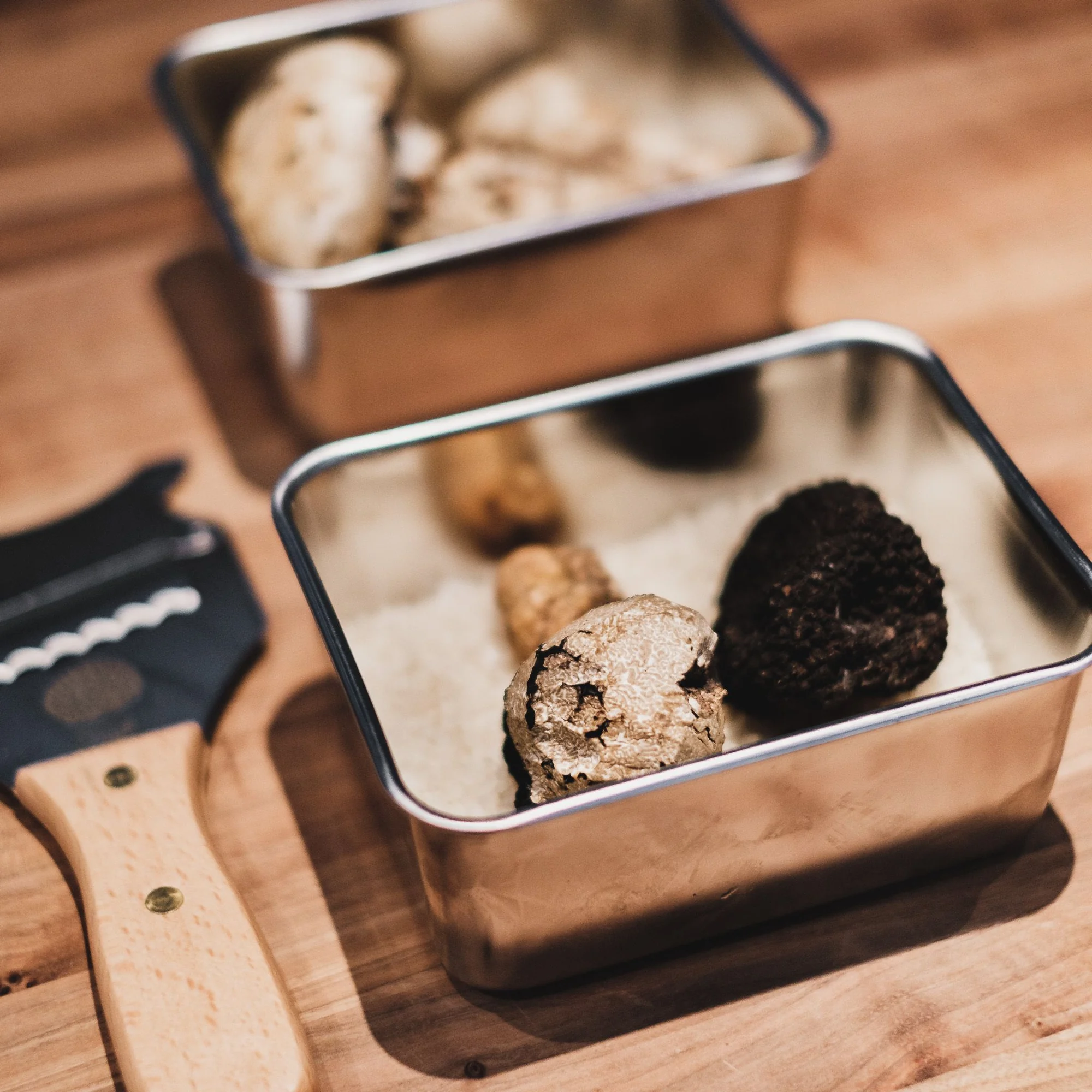 A Map of Italian Truffles: Why Alba Is Not the Only Important Territory