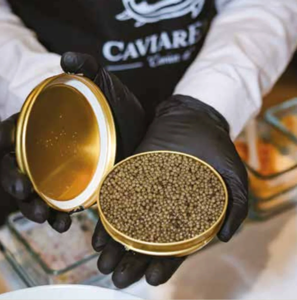 Caviar Series