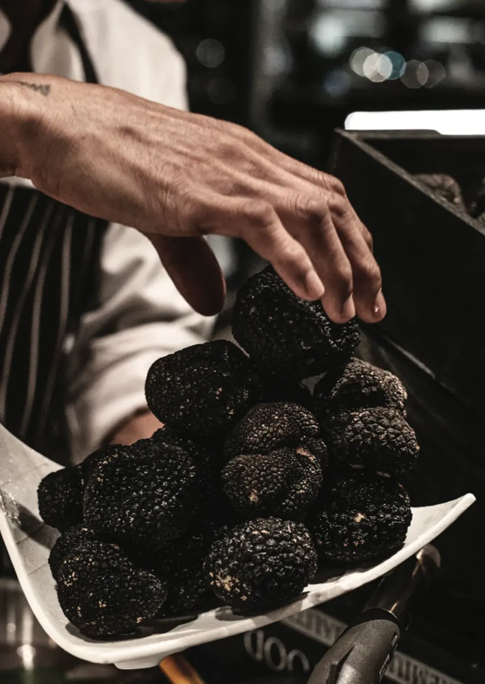 Truffle Series